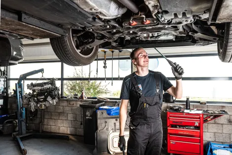 Reparatie BCS van Dijk
